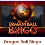 Bingo Village Dragon Ball Bingo Room