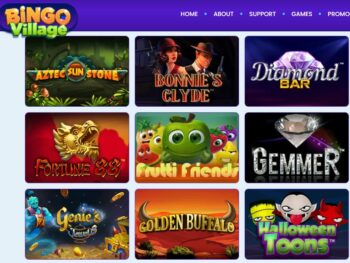 Bingo Village Slot Games